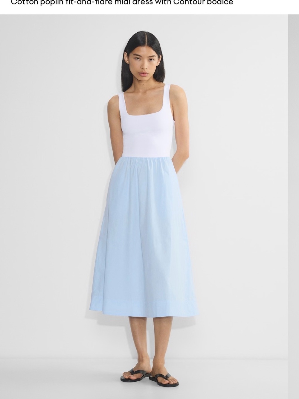 Aritzia Babaton Revive Poplin Dress